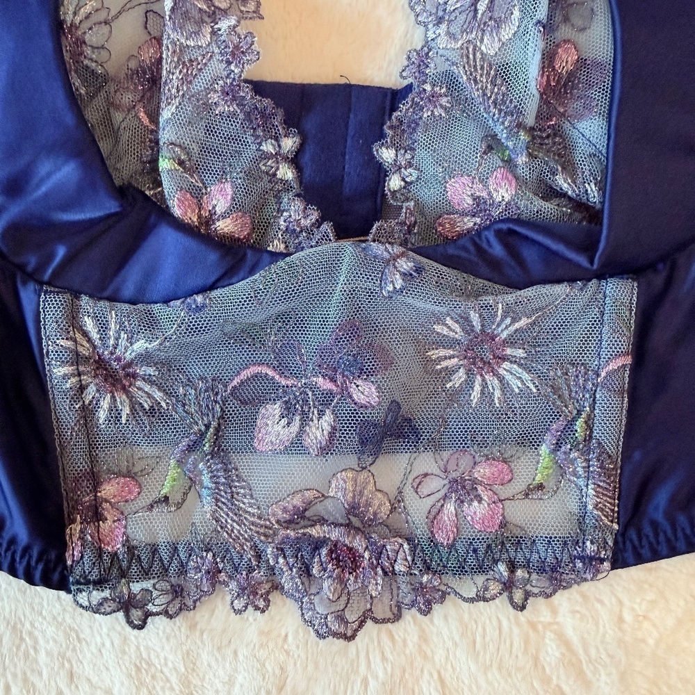 New! Victoria's Secret Very Sexy Hummingbird Embroidery Corset 45809 - Picture 7 of 9